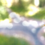 Right path strategically