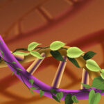 How to Attact and Keep the Talent You Need