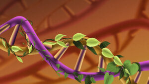 How to Attact and Keep the Talent You Need